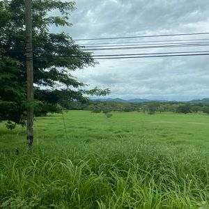 Meet your Posher, Agatha